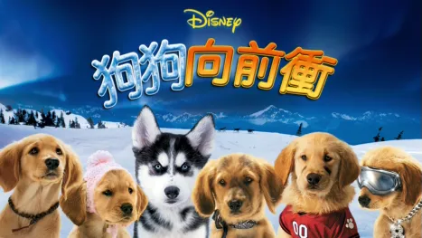 thumbnail - 狗狗向前衝