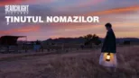 thumbnail - Nomadland