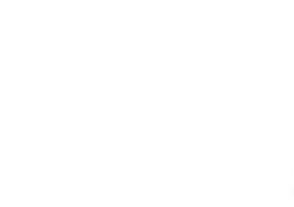 Cuento de dos animalitos