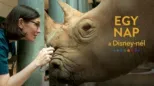 thumbnail - Egy nap a Disney-nél