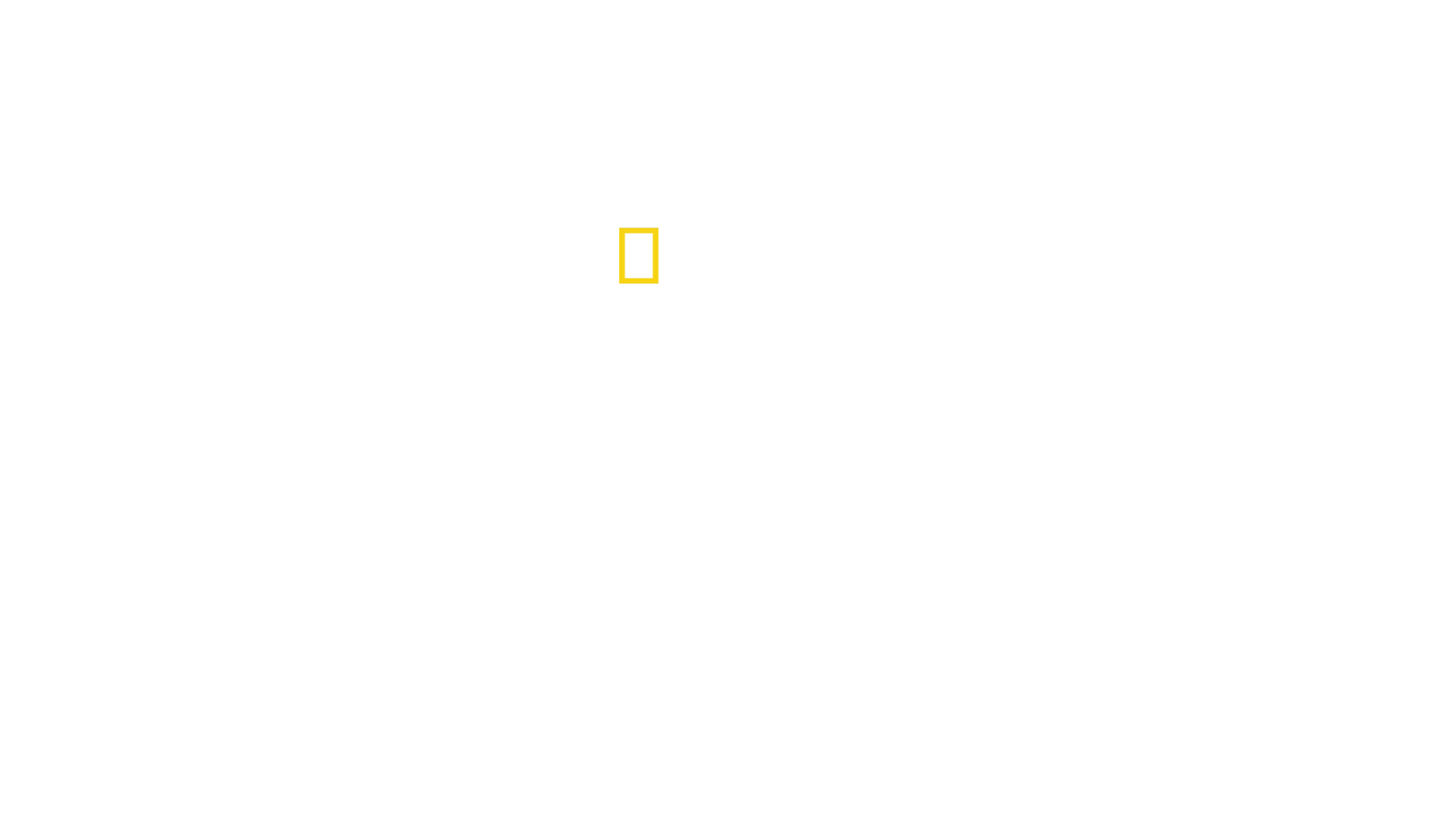 In arktische Höhen mit Alex Honnold
