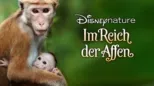thumbnail - Im Reich der Affen