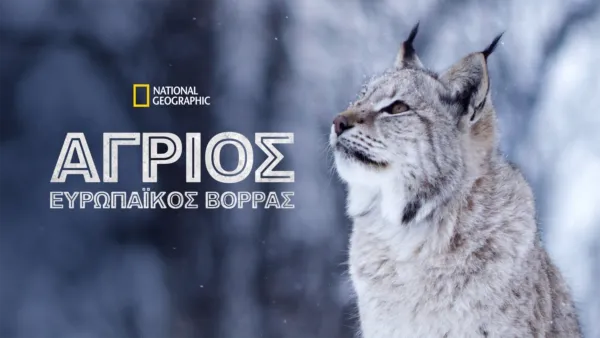 thumbnail - Άγριος Ευρωπαϊκός Βορράς