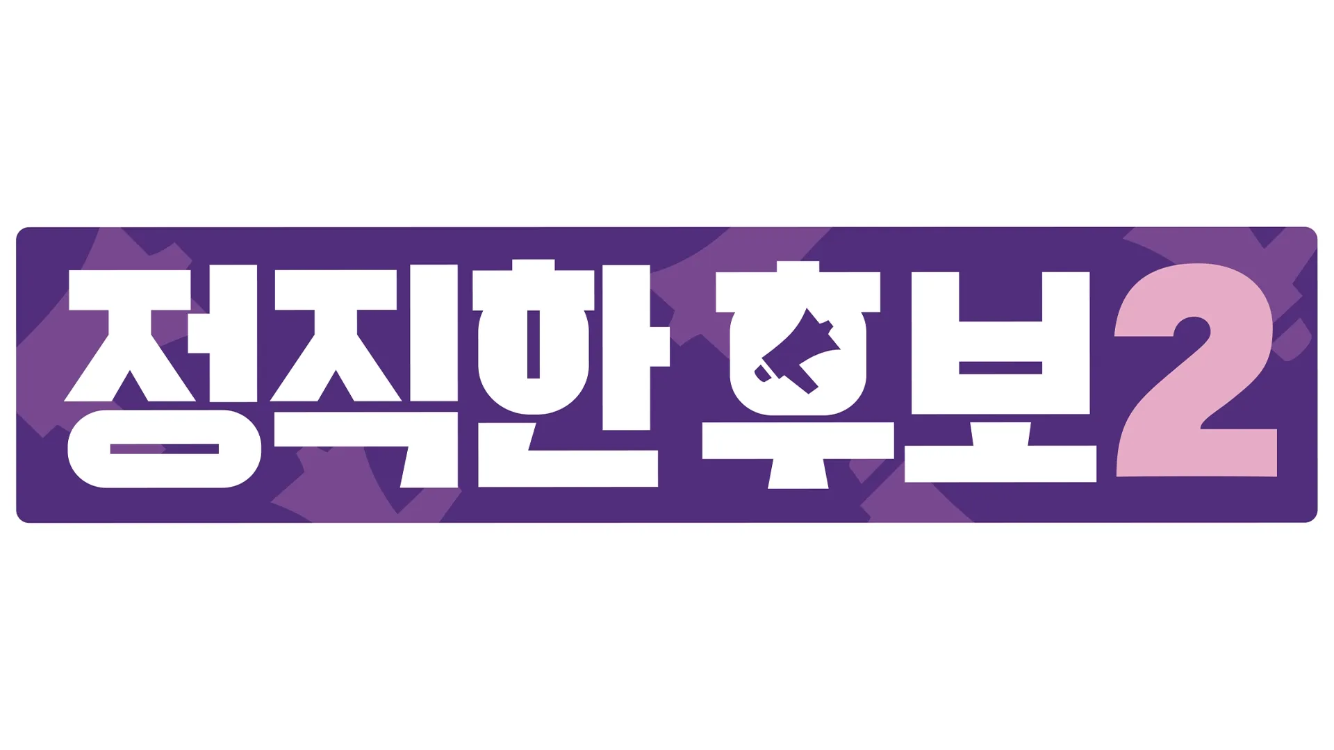 정직한 후보 2