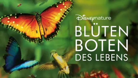 thumbnail - Blüten - Boten des Lebens