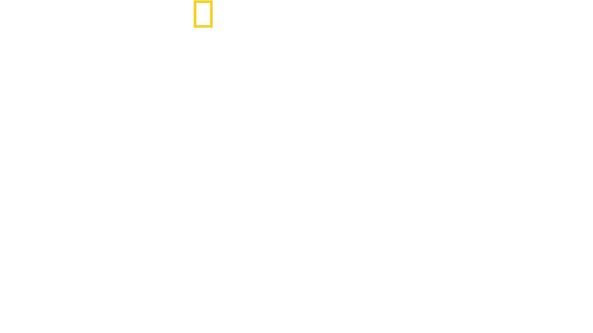 迪士尼神奇动物王国