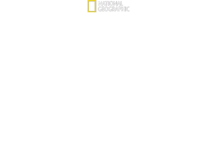 迪士尼神奇动物王国