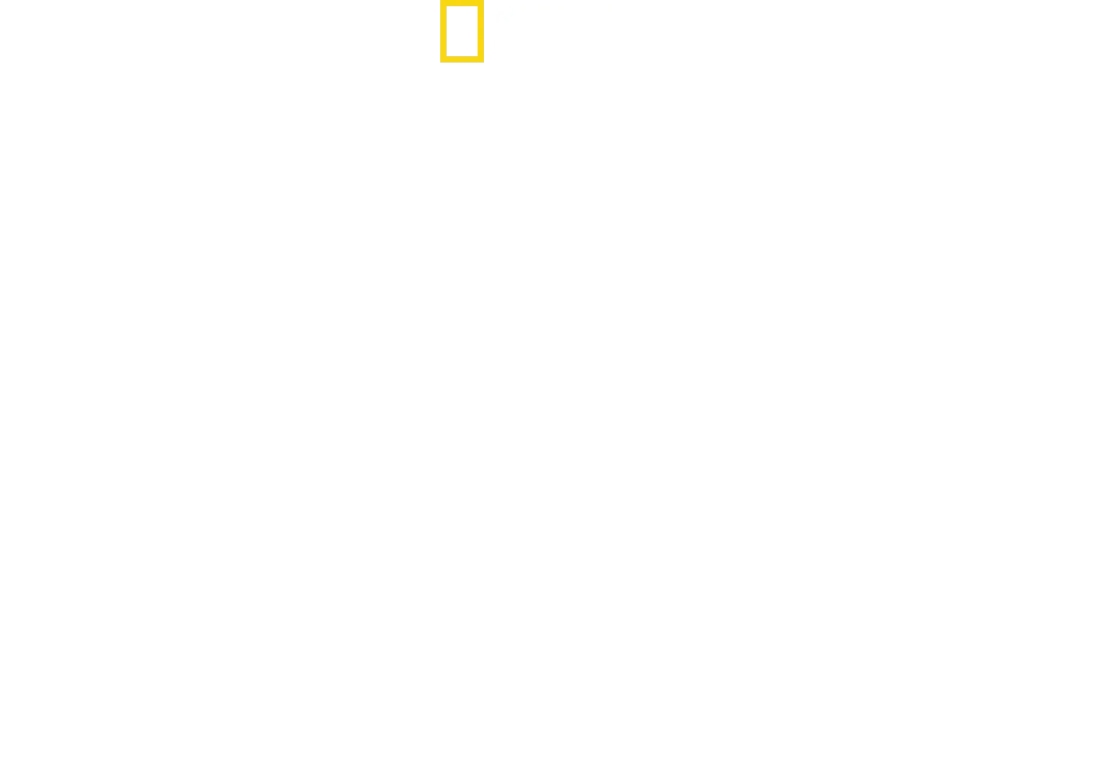 迪士尼神奇动物王国
