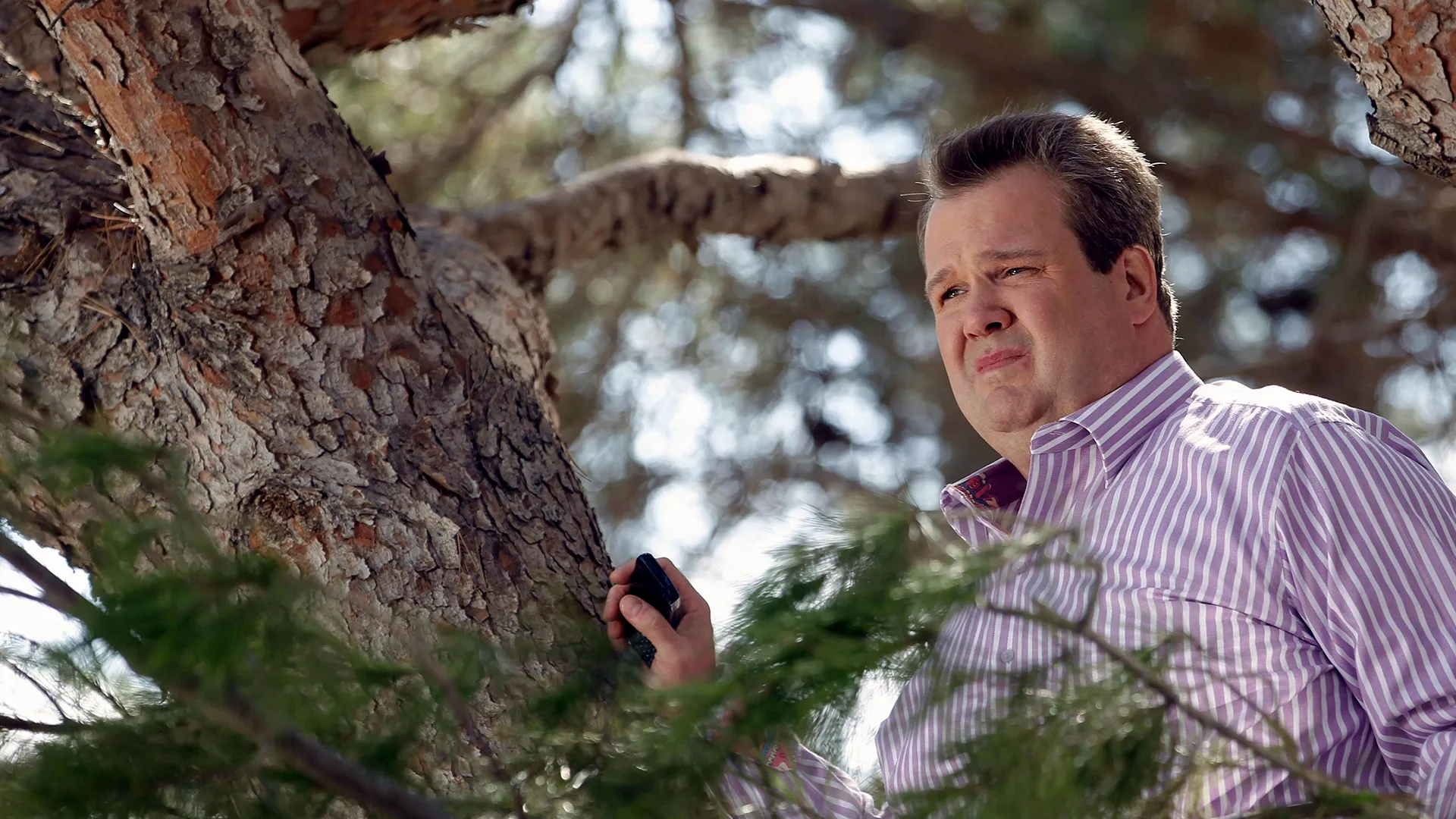 thumbnail - K4:J9 When a Tree Falls