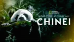 thumbnail - Împărățiile ascunse ale Chinei