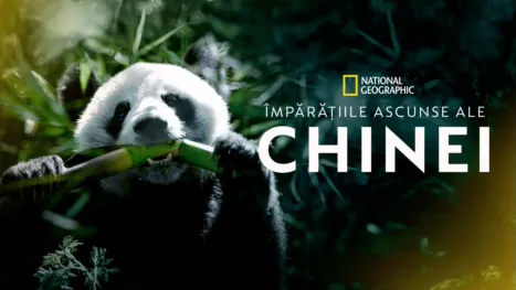 thumbnail - Împărățiile ascunse ale Chinei