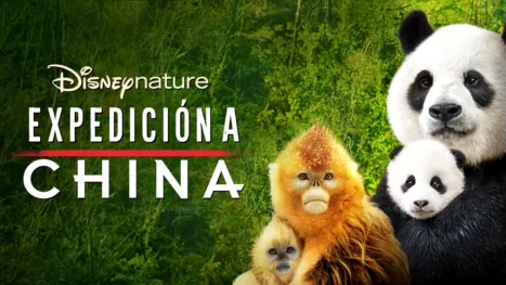 thumbnail - Disneynature: Expedición a China