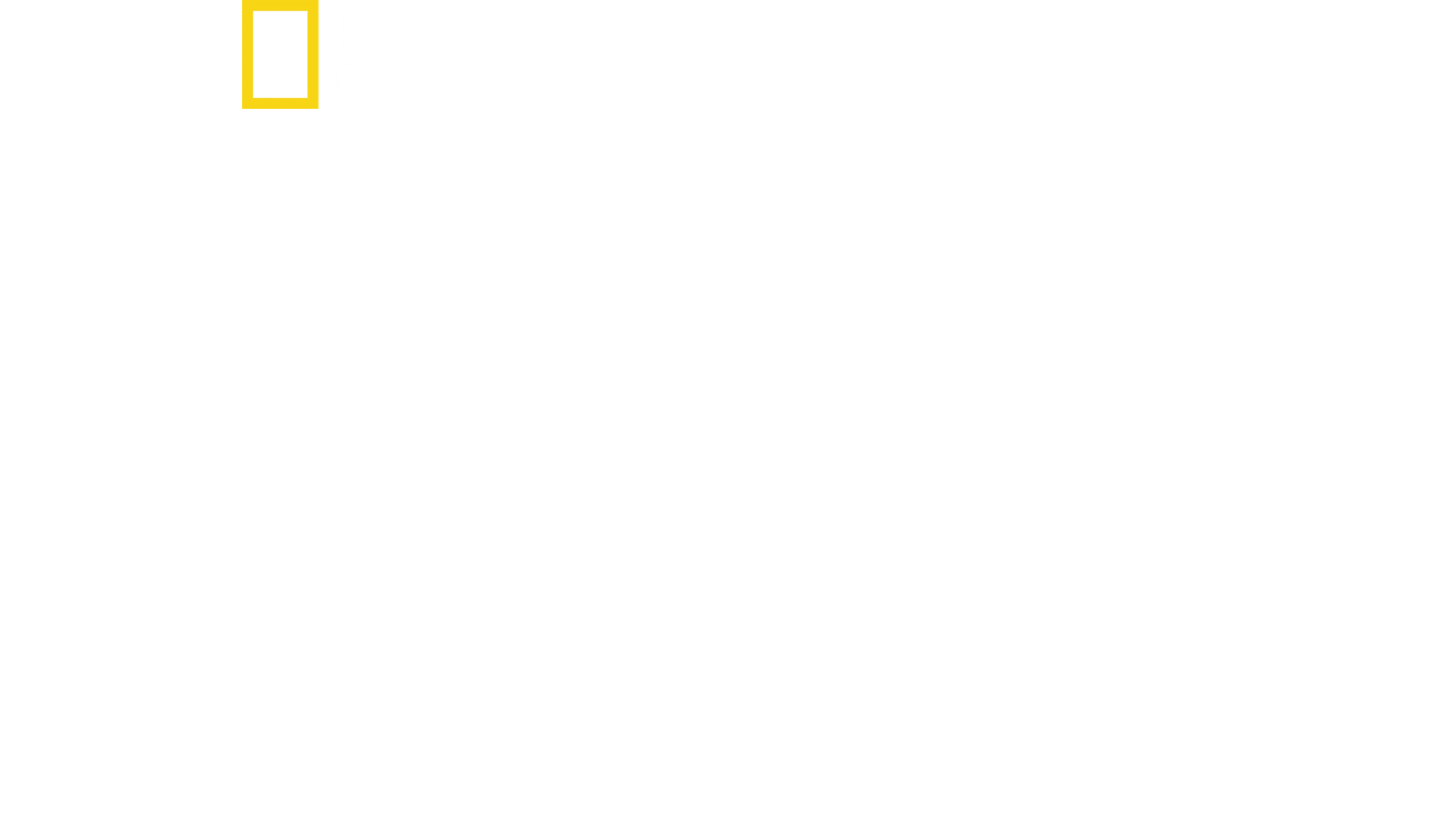 賣牛奶的獸醫