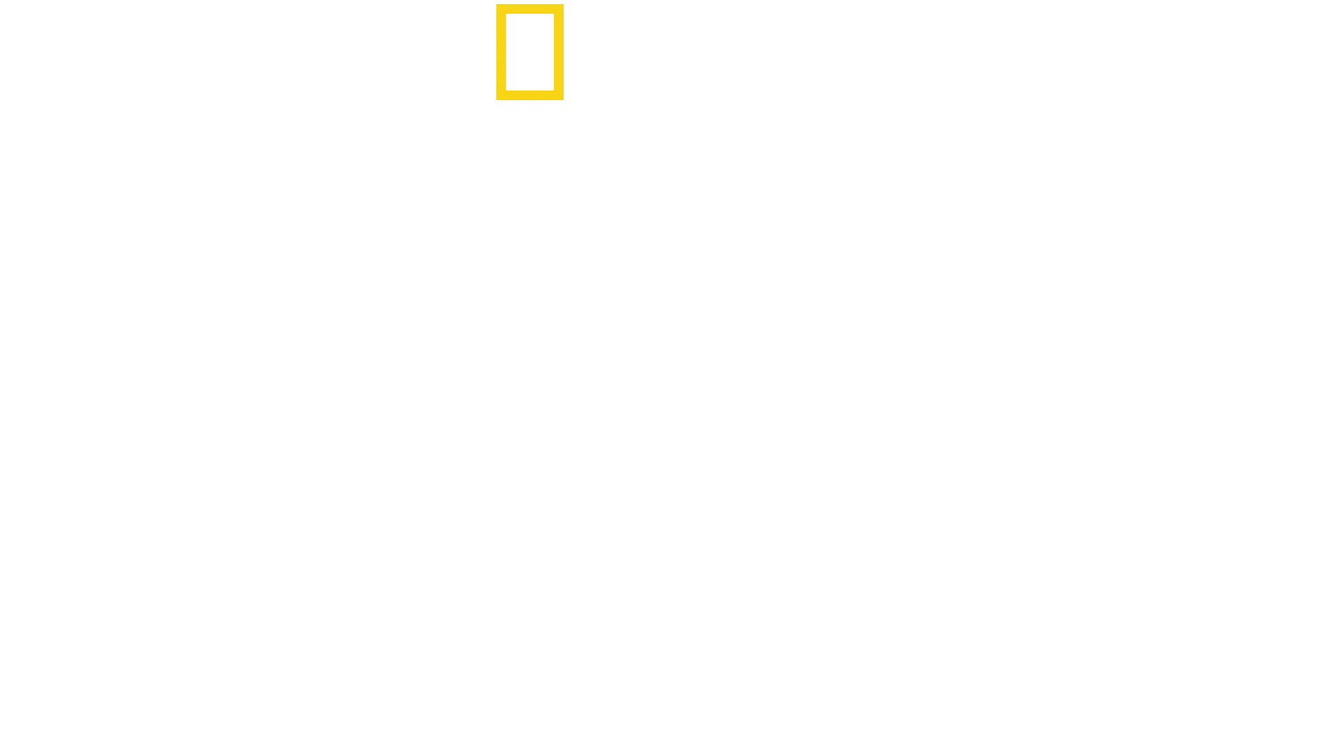 Rivalen: Haie vs. Orcas