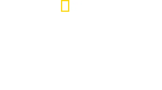 Rivalen: Haie vs. Orcas