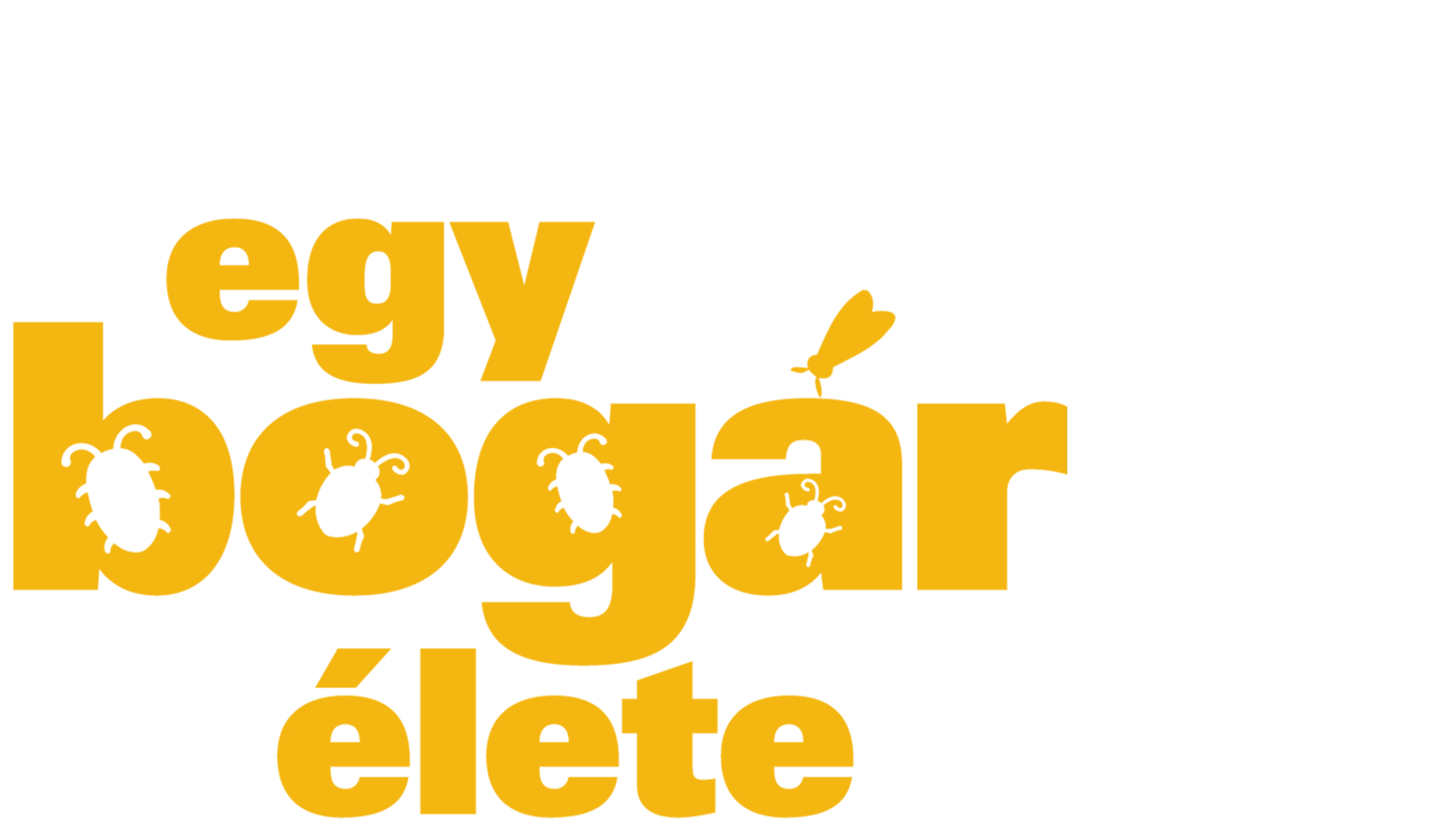 Egy bogár élete