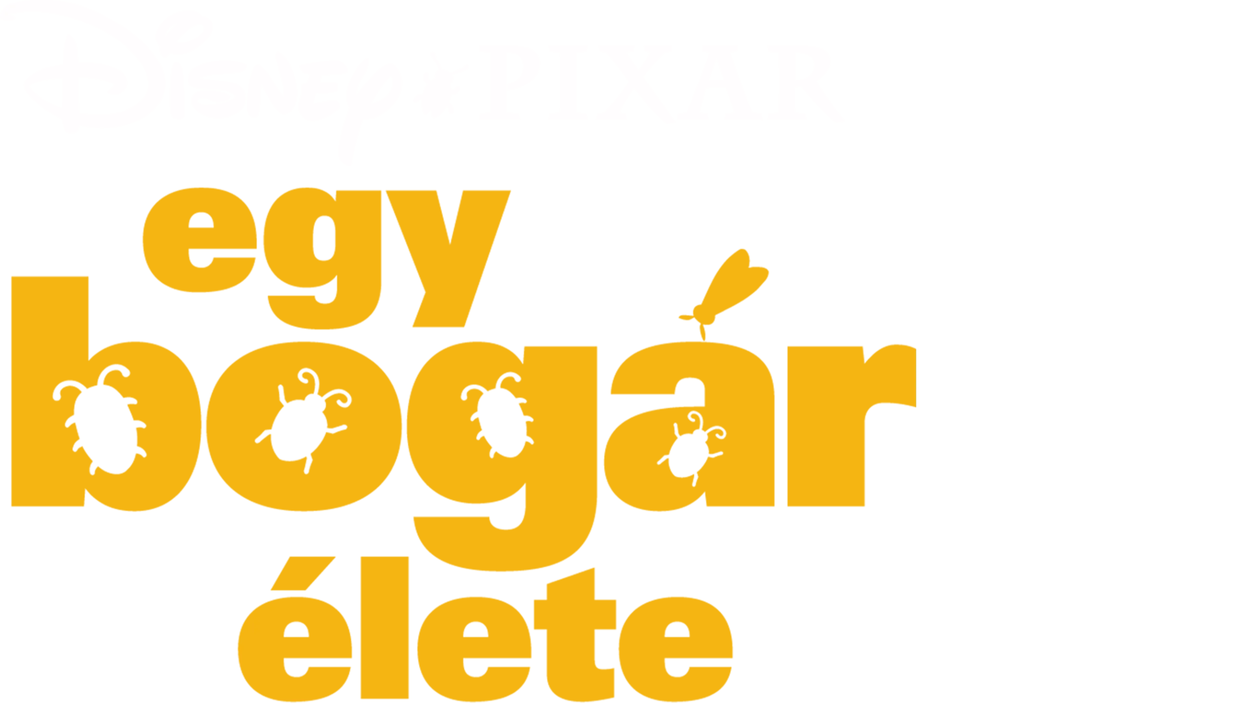 Egy bogár élete