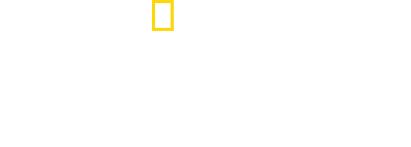 Svědkem katastrofy