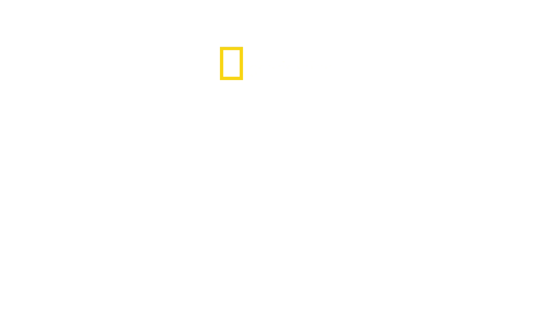 Gli squali più pericolosi del mondo