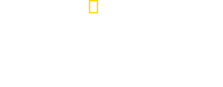 Gli squali più pericolosi del mondo