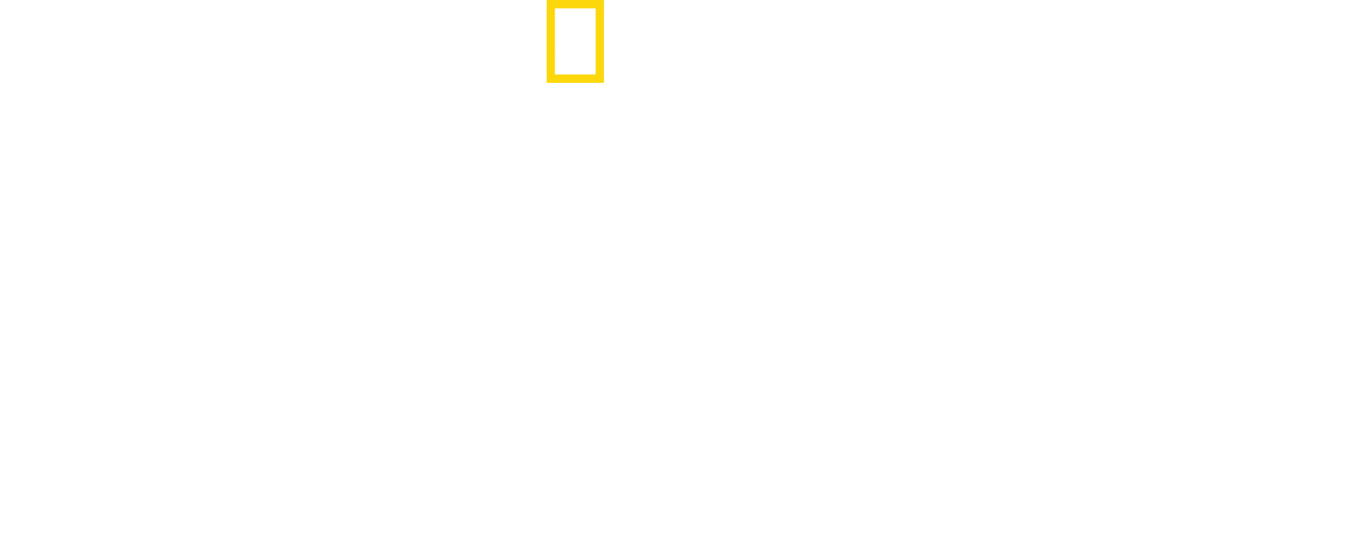 Gli squali più pericolosi del mondo
