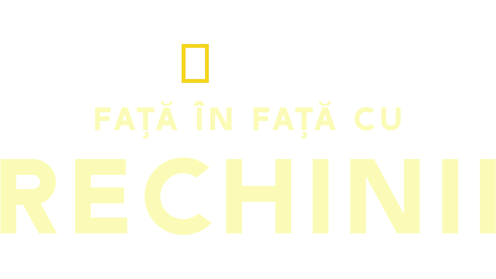 Față În Față Cu Rechinii