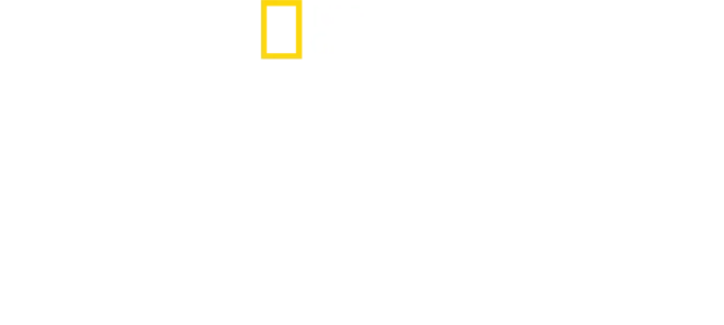 Ruta salvaje con los Fiennes
