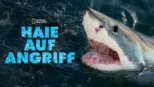 thumbnail - Haie auf Angriff