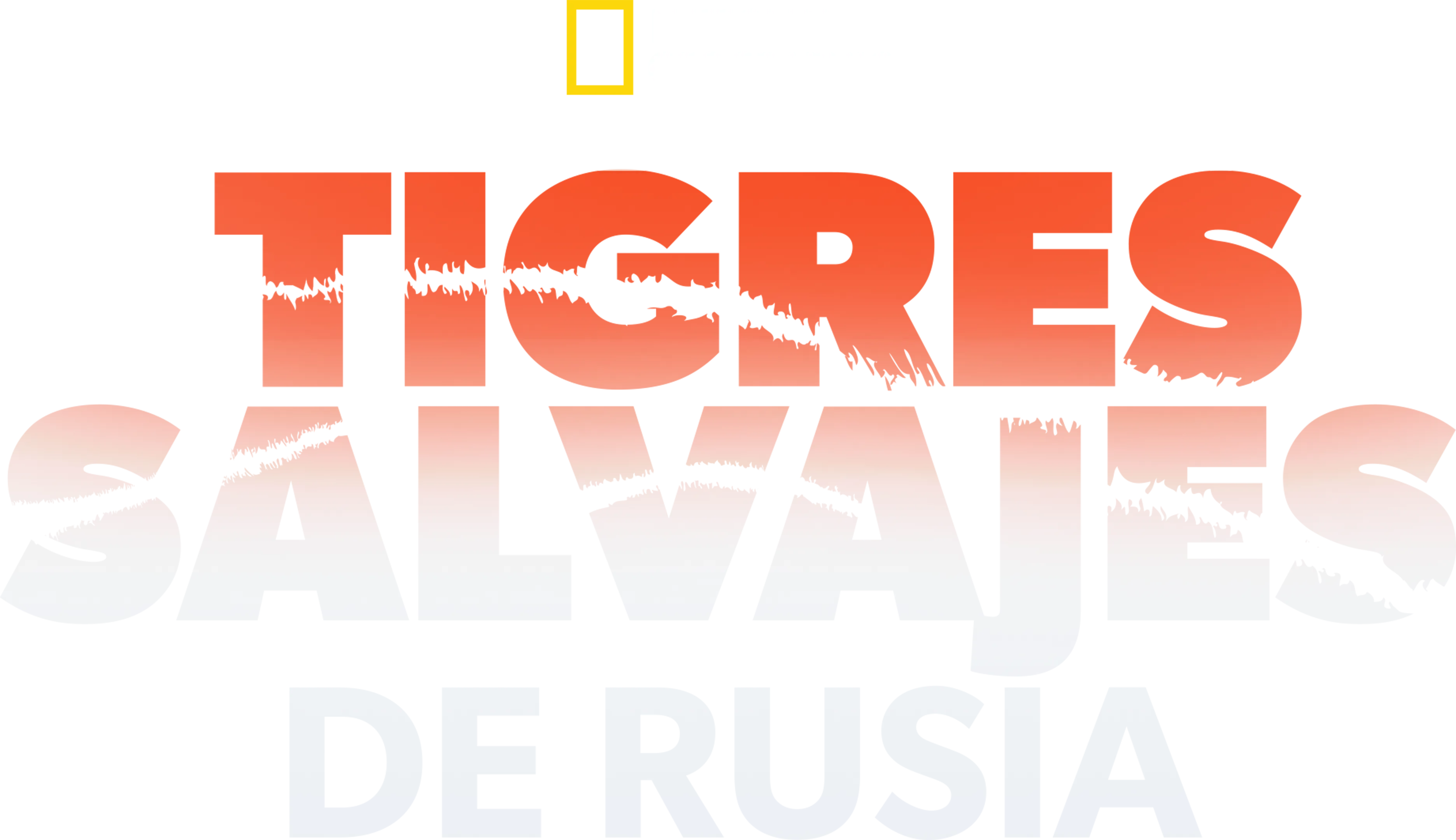 Tigres salvajes de Rusia