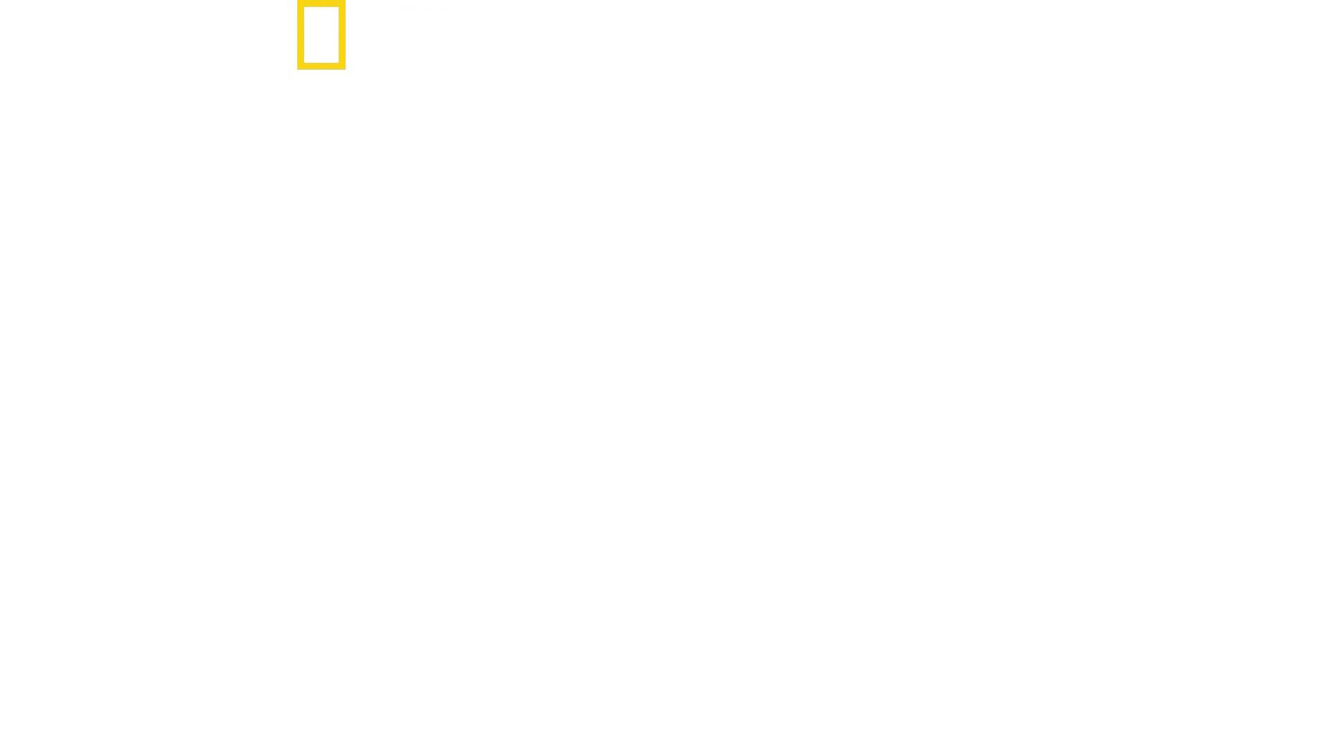 Air Force One: Presidentin lentävä linnoitus