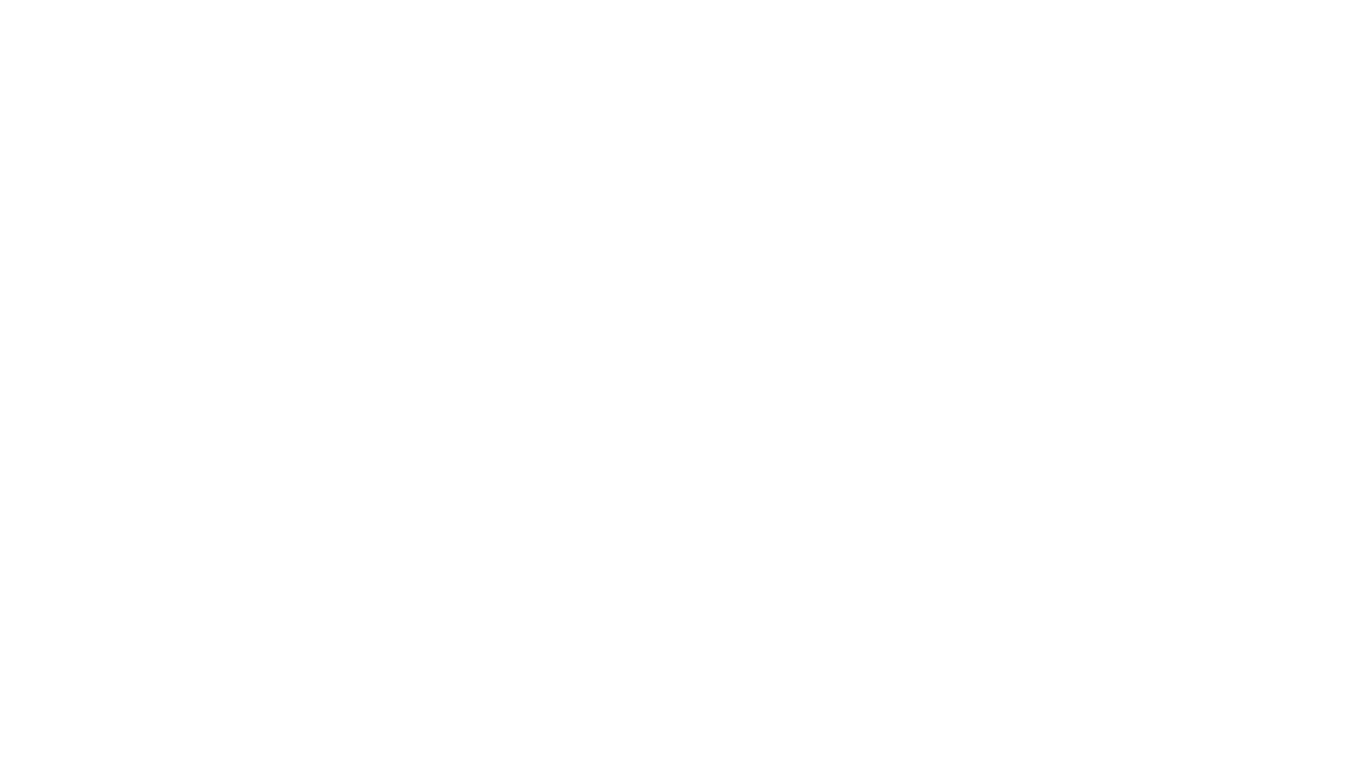The Beach Boys