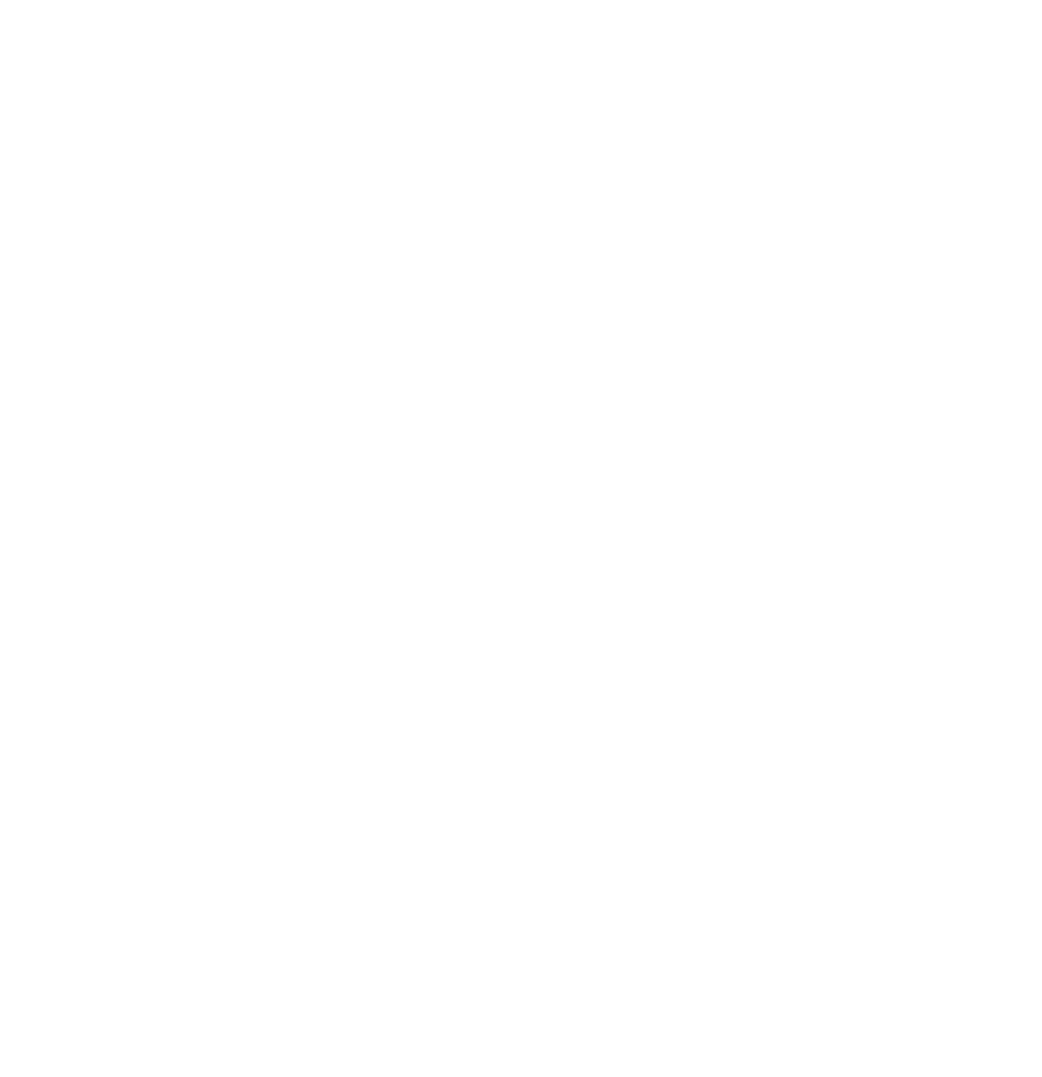 The Beach Boys