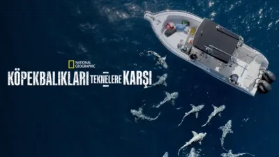 Köpekbalıkları Teknelere Karşı