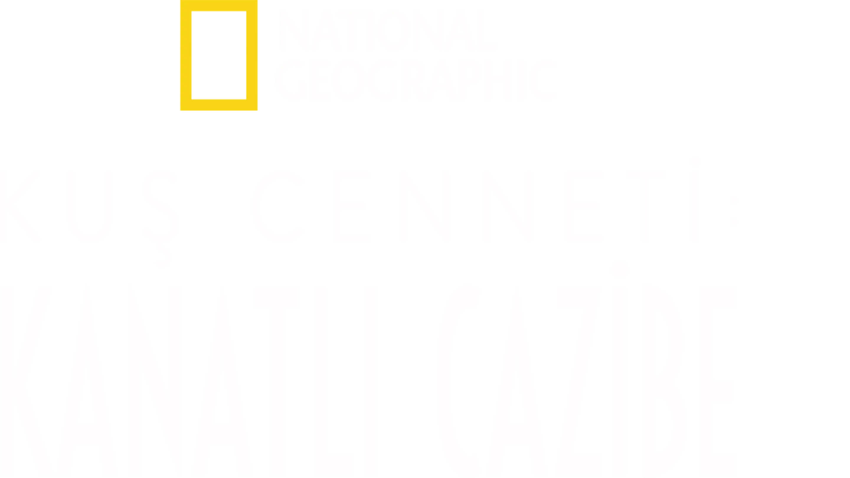 Kuş Cenneti: Kanatlı Cazibe