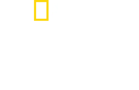 Kuş Cenneti: Kanatlı Cazibe