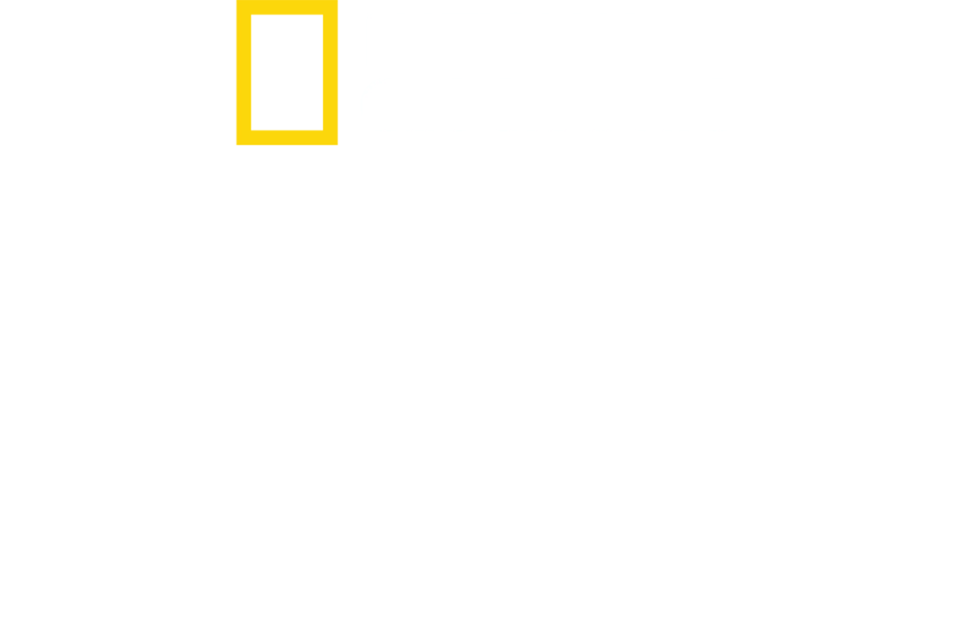 Kuş Cenneti: Kanatlı Cazibe