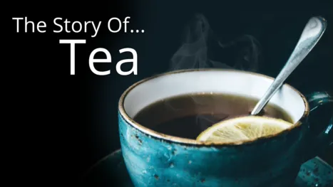 thumbnail - Story of... Tea