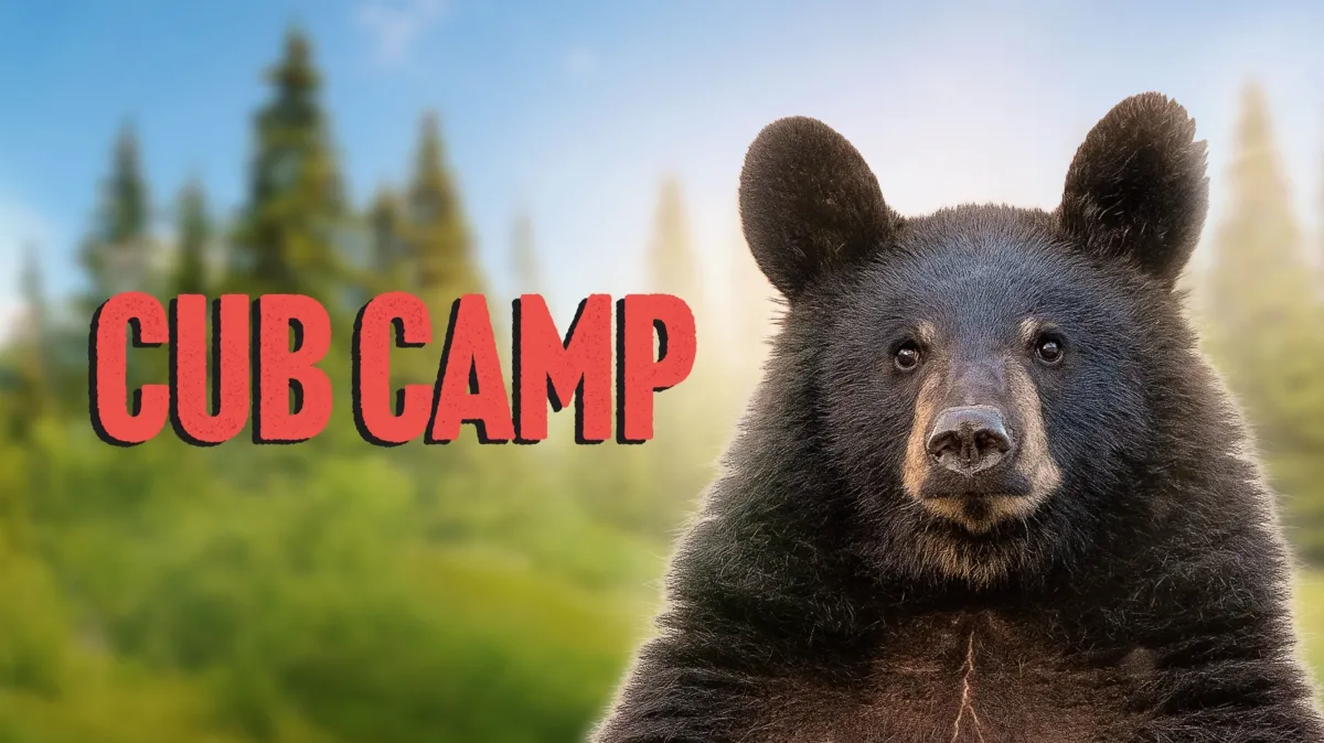 Watch Cub Camp | Full Episodes | Disney+