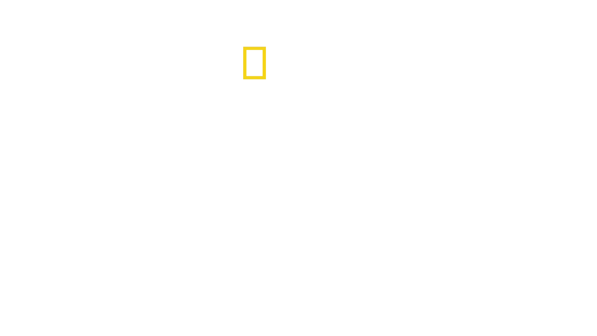 Äärimmäistä selviytymistä: toinen maailmasota
