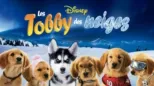 thumbnail - Les Tobby des neiges