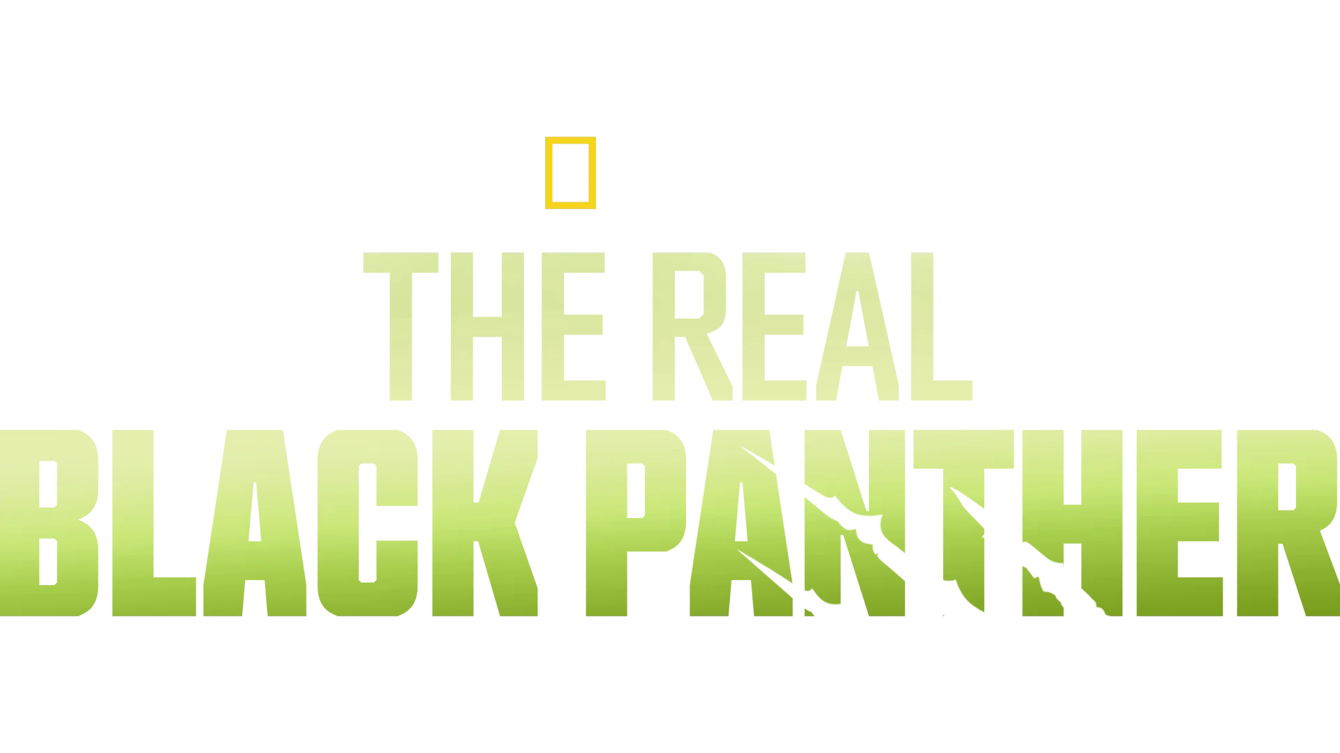 La verdadera Pantera Negra