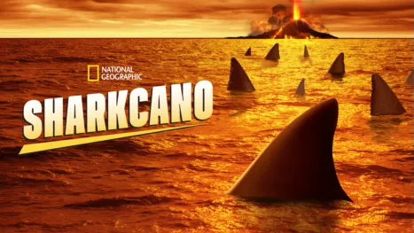thumbnail - Sharkcano