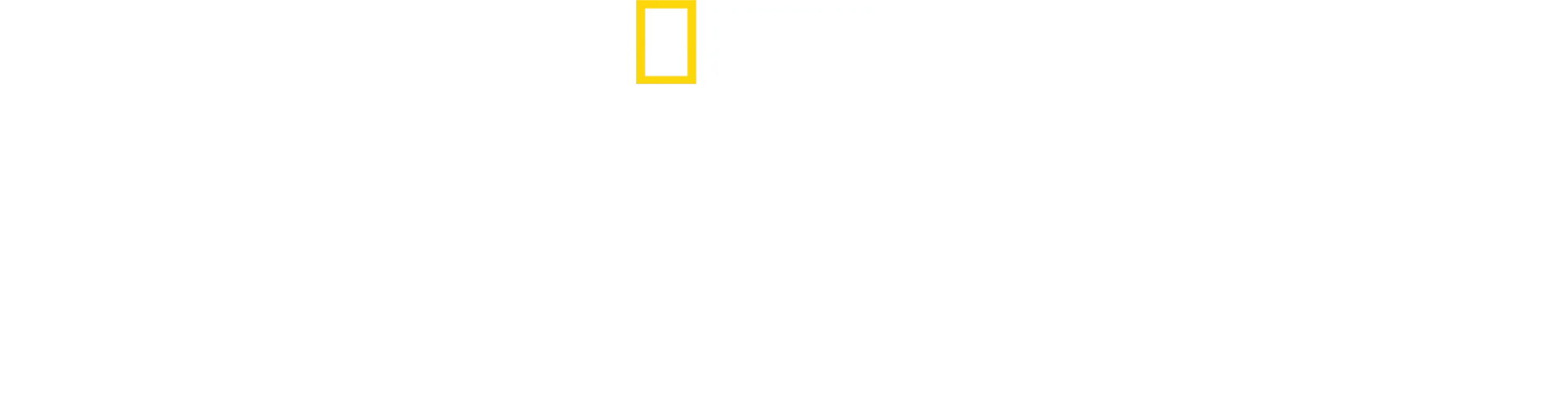 Top Guns: La nueva generación