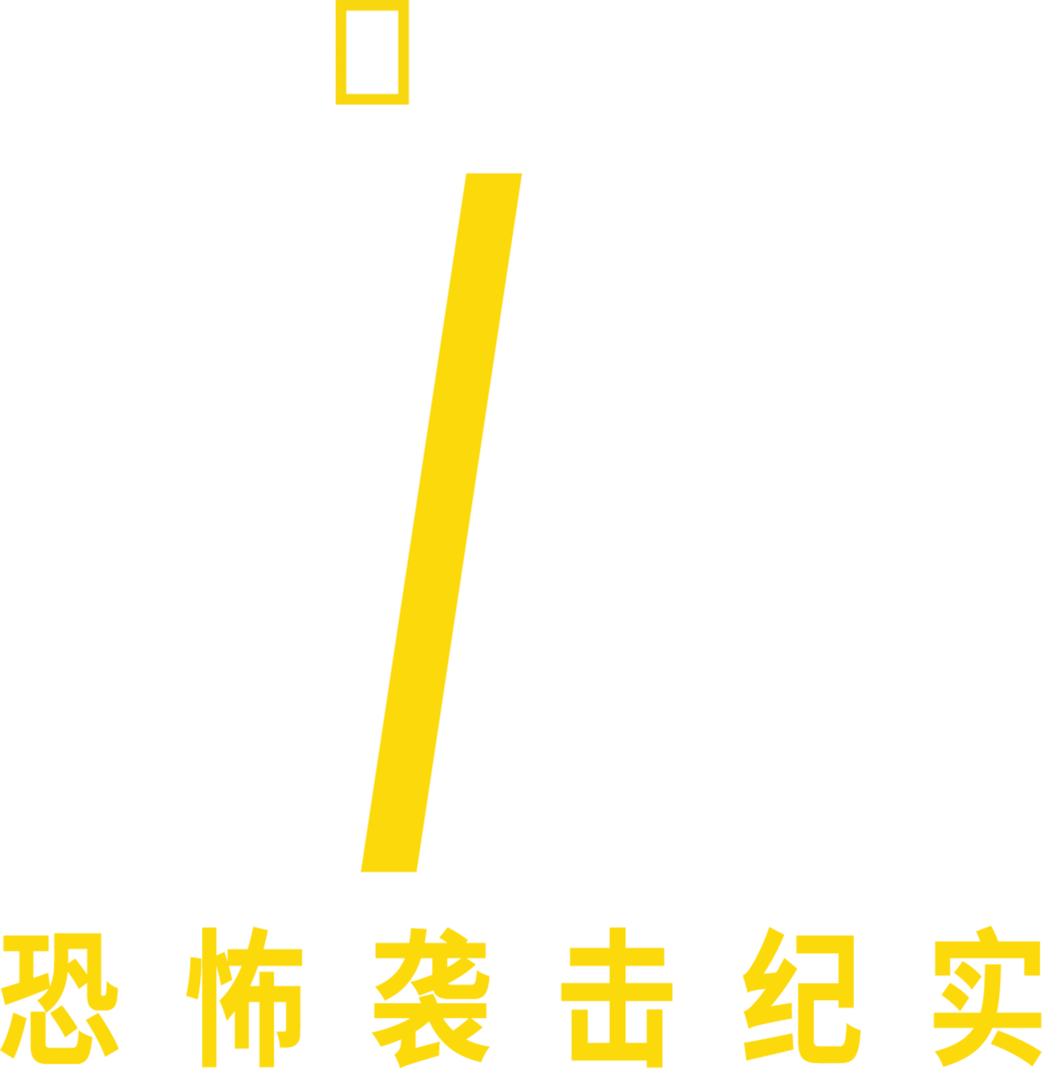 911恐怖袭击纪实