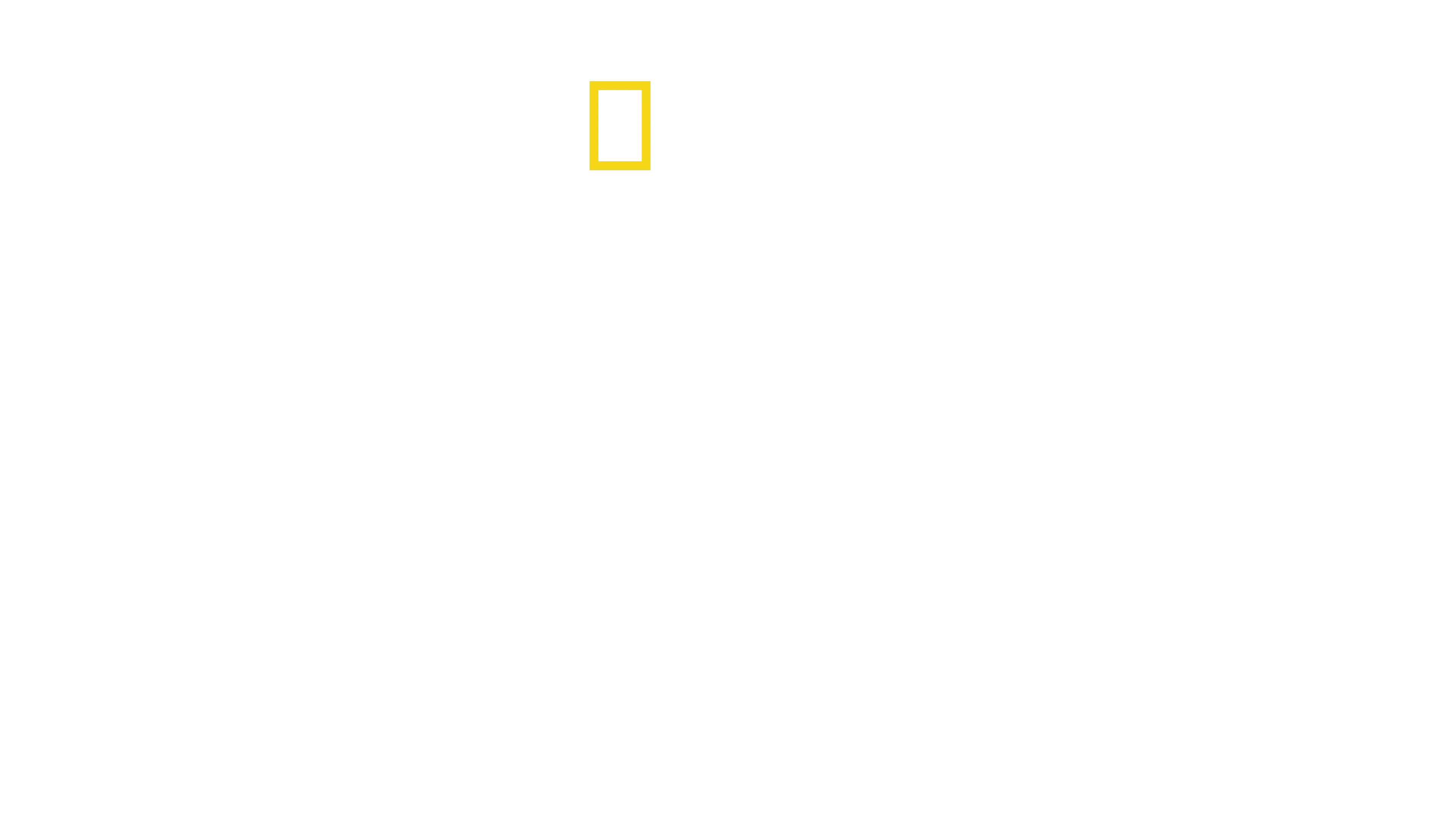 Lintujen planeetta