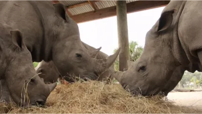 thumbnail - S4:E4 Crash Course