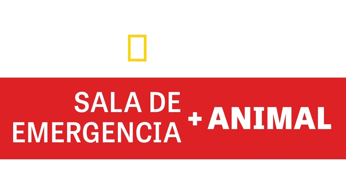 Sala de Emergencia Animal