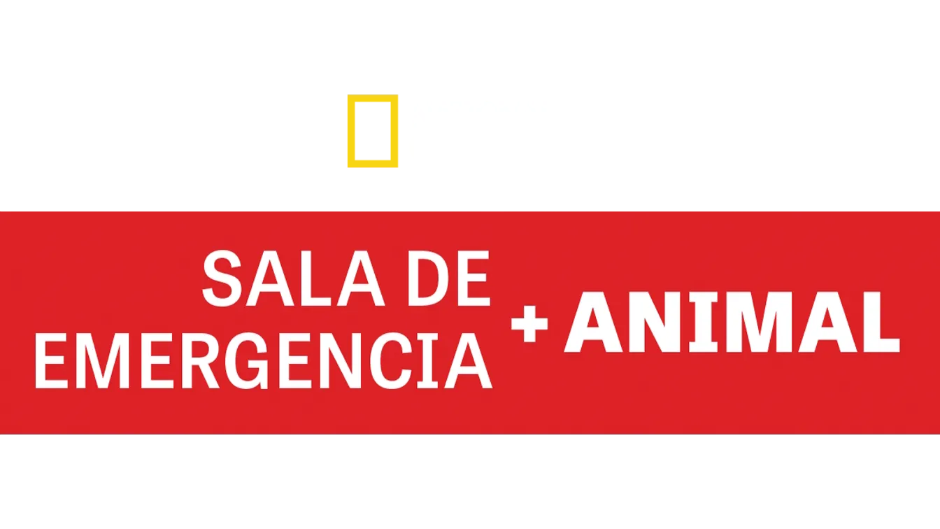 Sala de Emergencia Animal