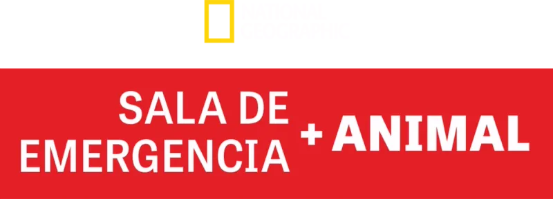 Sala de Emergencia Animal
