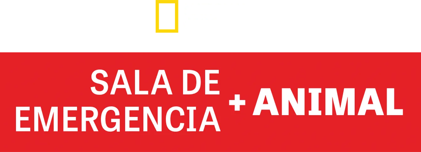 Sala de Emergencia Animal